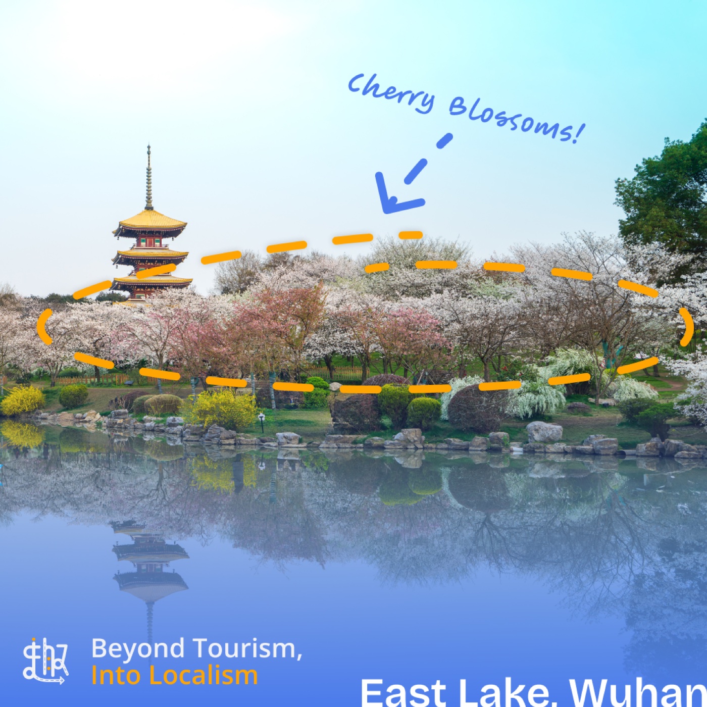 Cherry blossoms at East Lake in Wuhan with a traditional pagoda reflected in the water